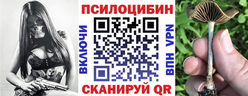 OMG tor Ивангород Галлюциногенные грибы Magic Shrooms