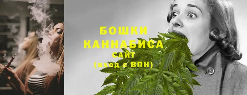 Каннабис OG Kush  купить   Ивангород 